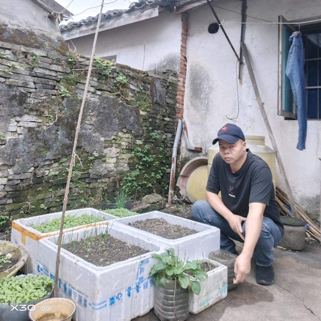 小黄哥