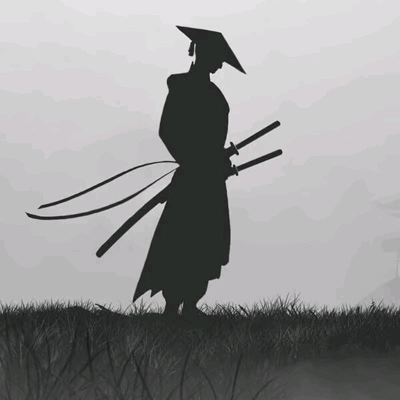 遇见星星的旅程0