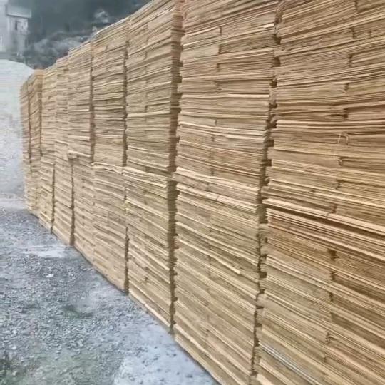 贵州湿板皮出售