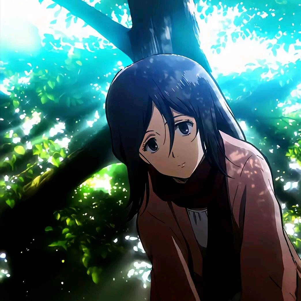 mikasa