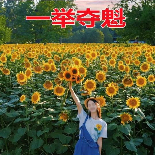 2025金榜题名