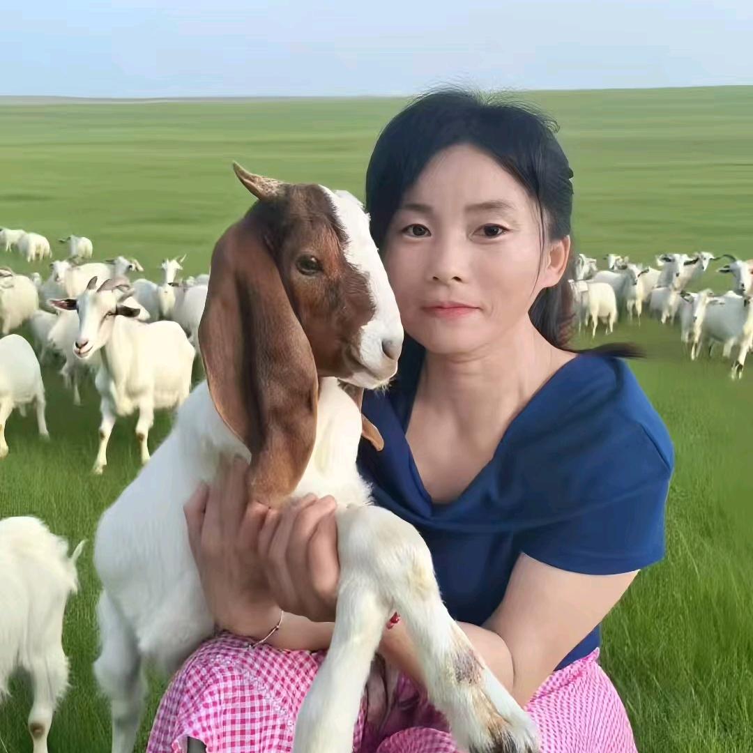 第一种羊场