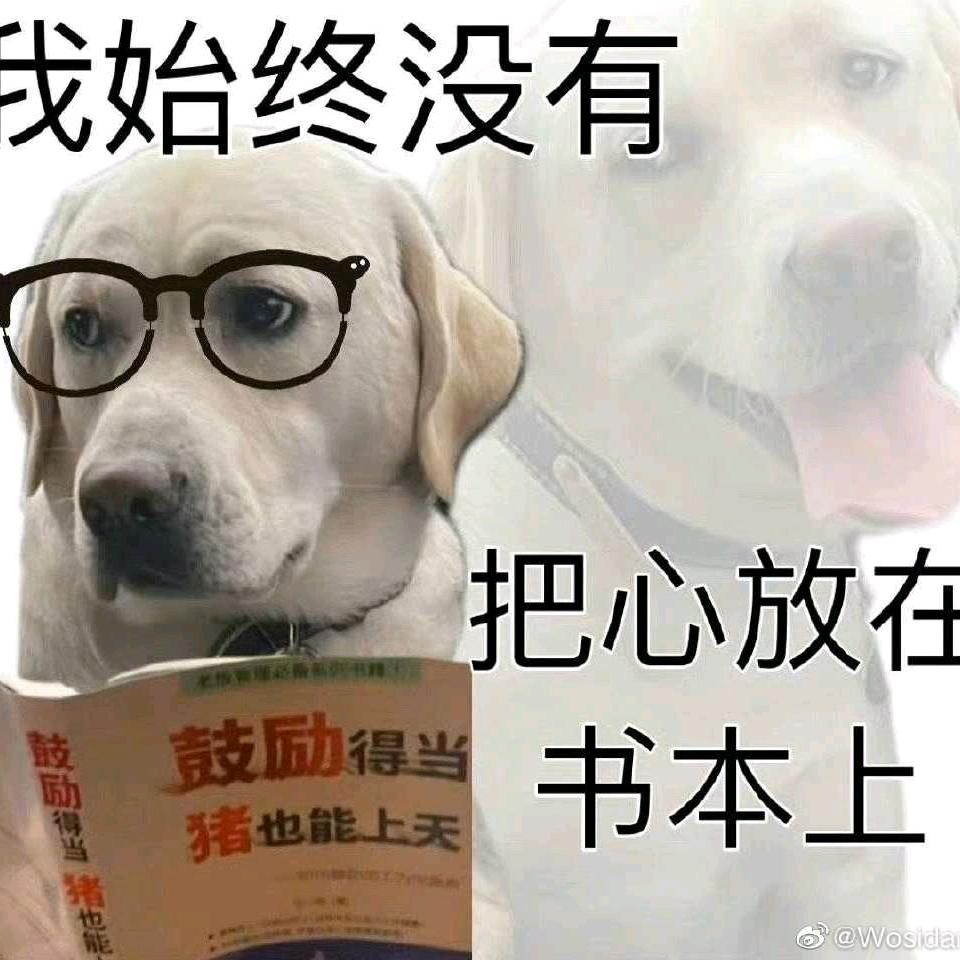 卧龙凤雏😪