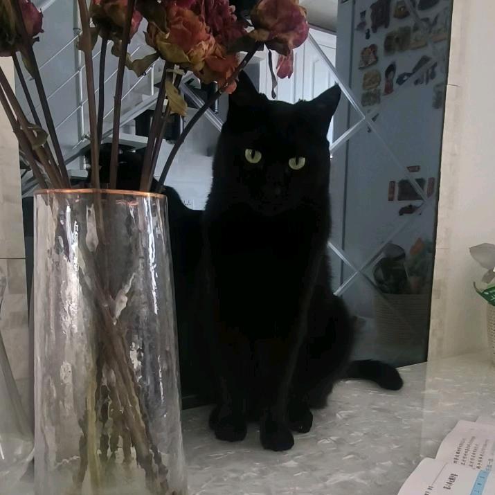 请叫我黑皮体育咪