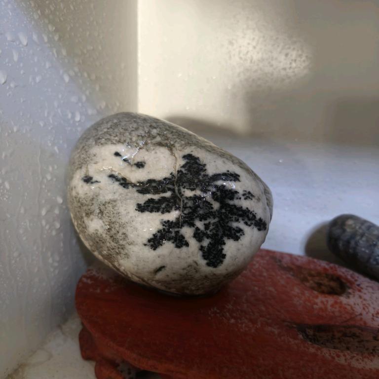 守成奇石综合小铺