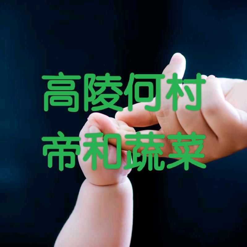 高陵何村帝和蔬菜