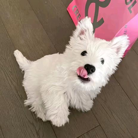 溏欣蛋