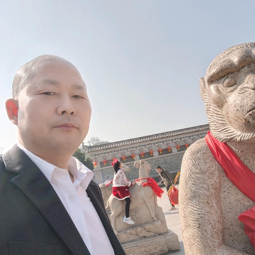 不由再来