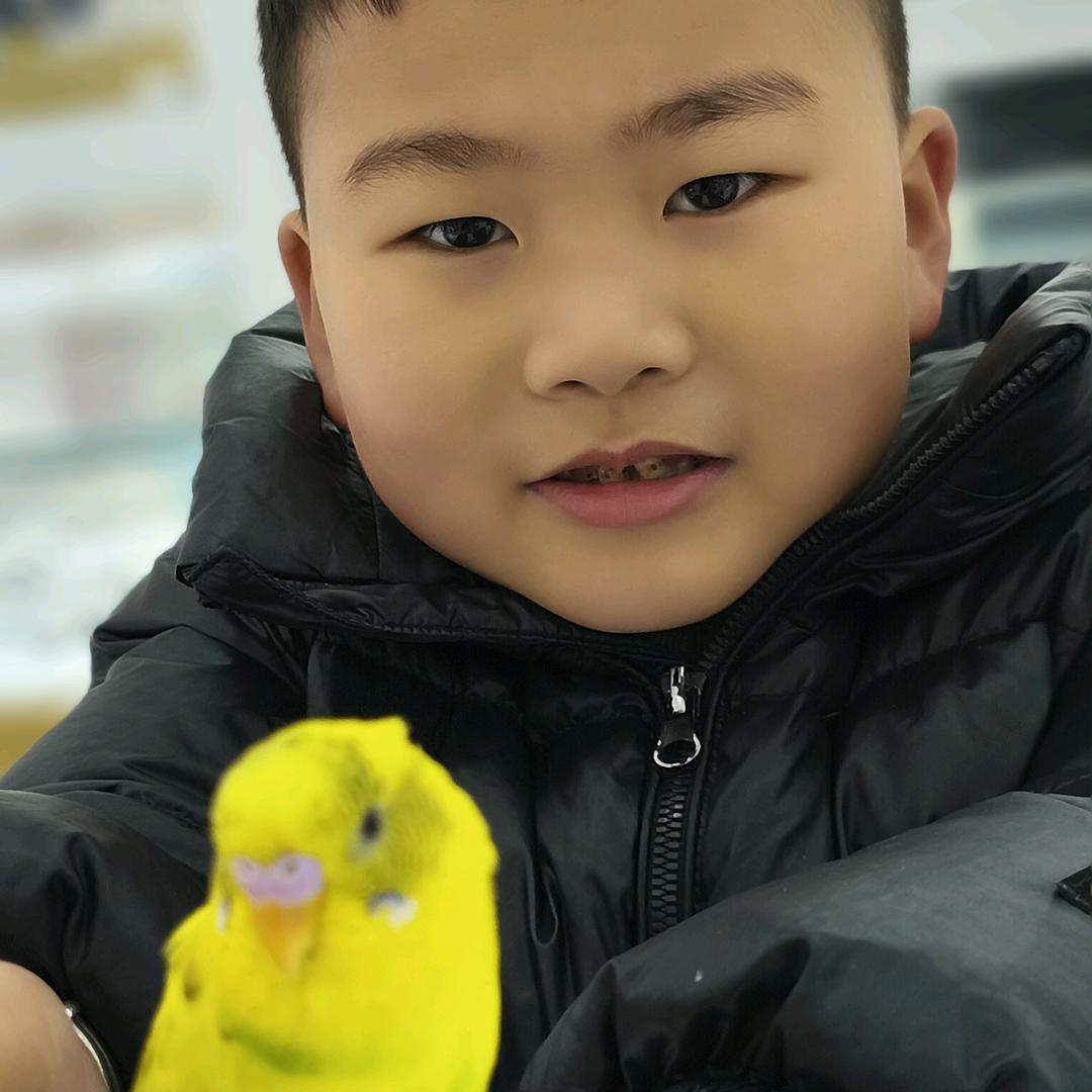 上海的哥