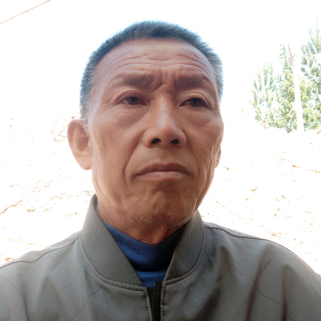 好照抖