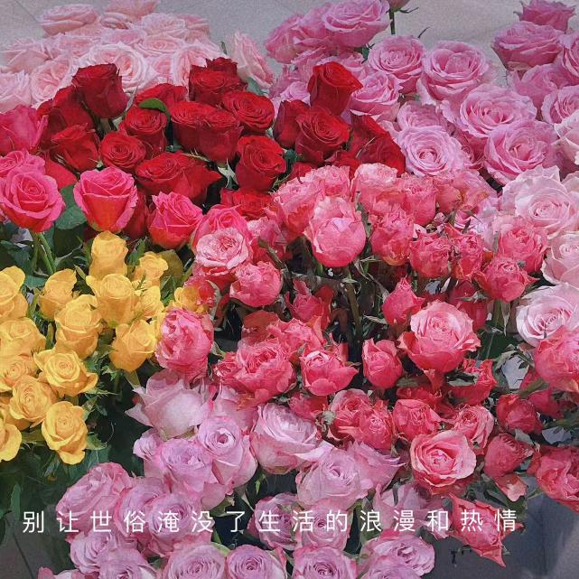 惠友~茗境花源