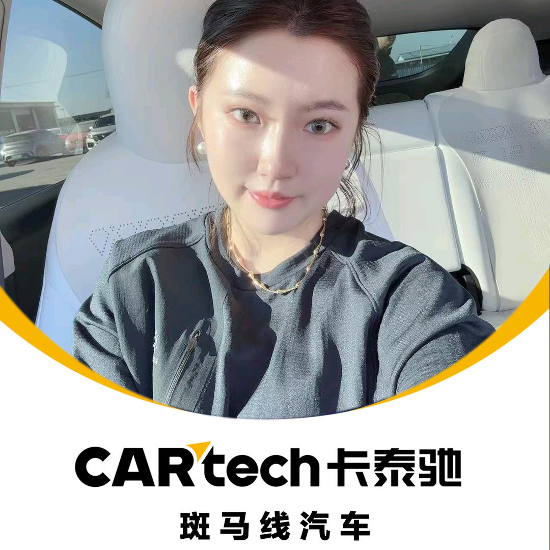 | 二手特斯拉