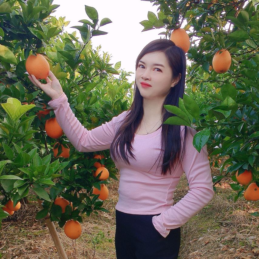 ღ想事橙🍊᭄༊