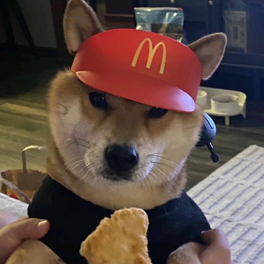 咚bro(散修版)