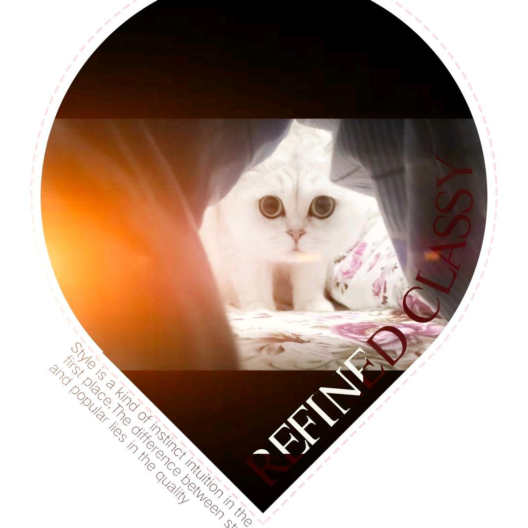 淡然（建东奶制品）