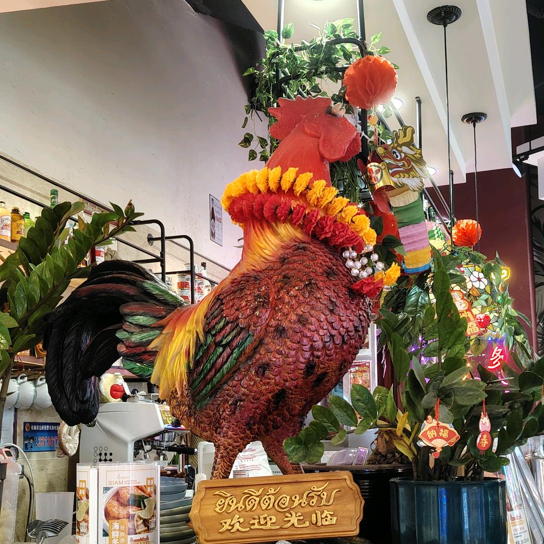 🍒快乐妮子🥦