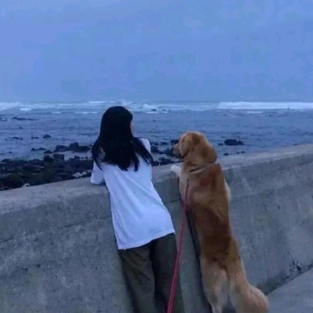 言午。