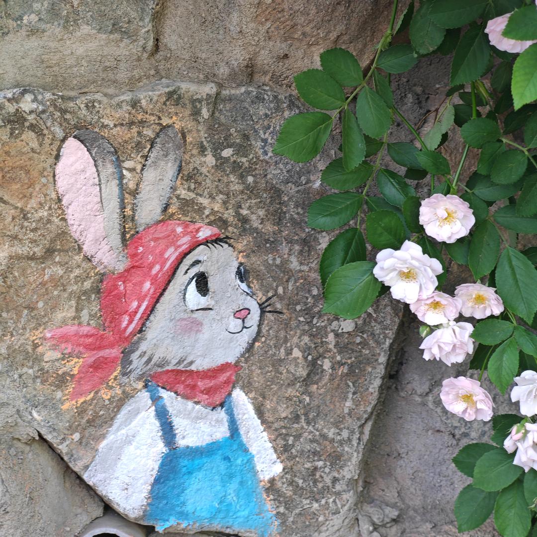 爱吃草的小白兔