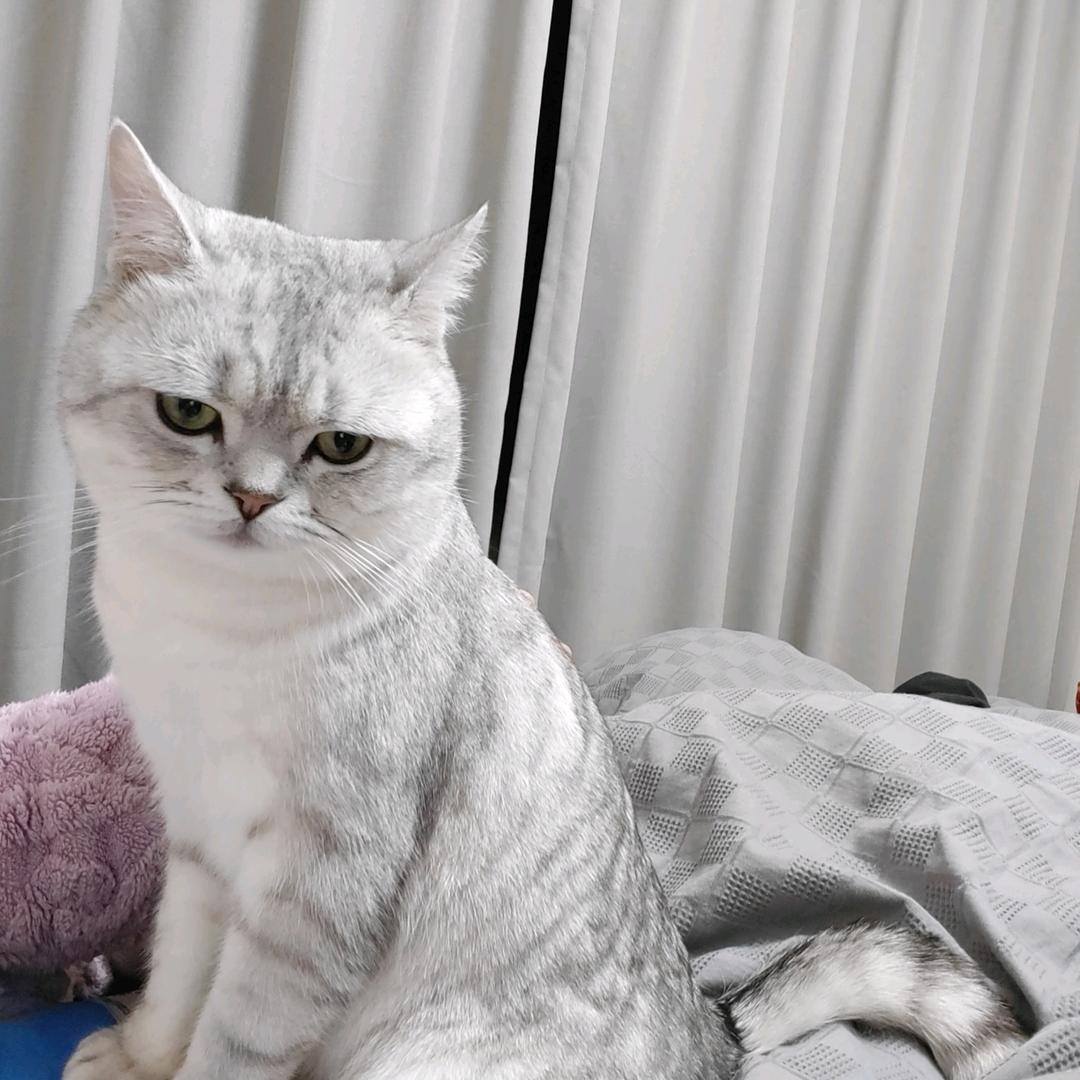 利辛金诺全屋定制工厂