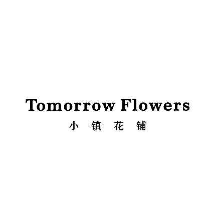 小镇花铺.