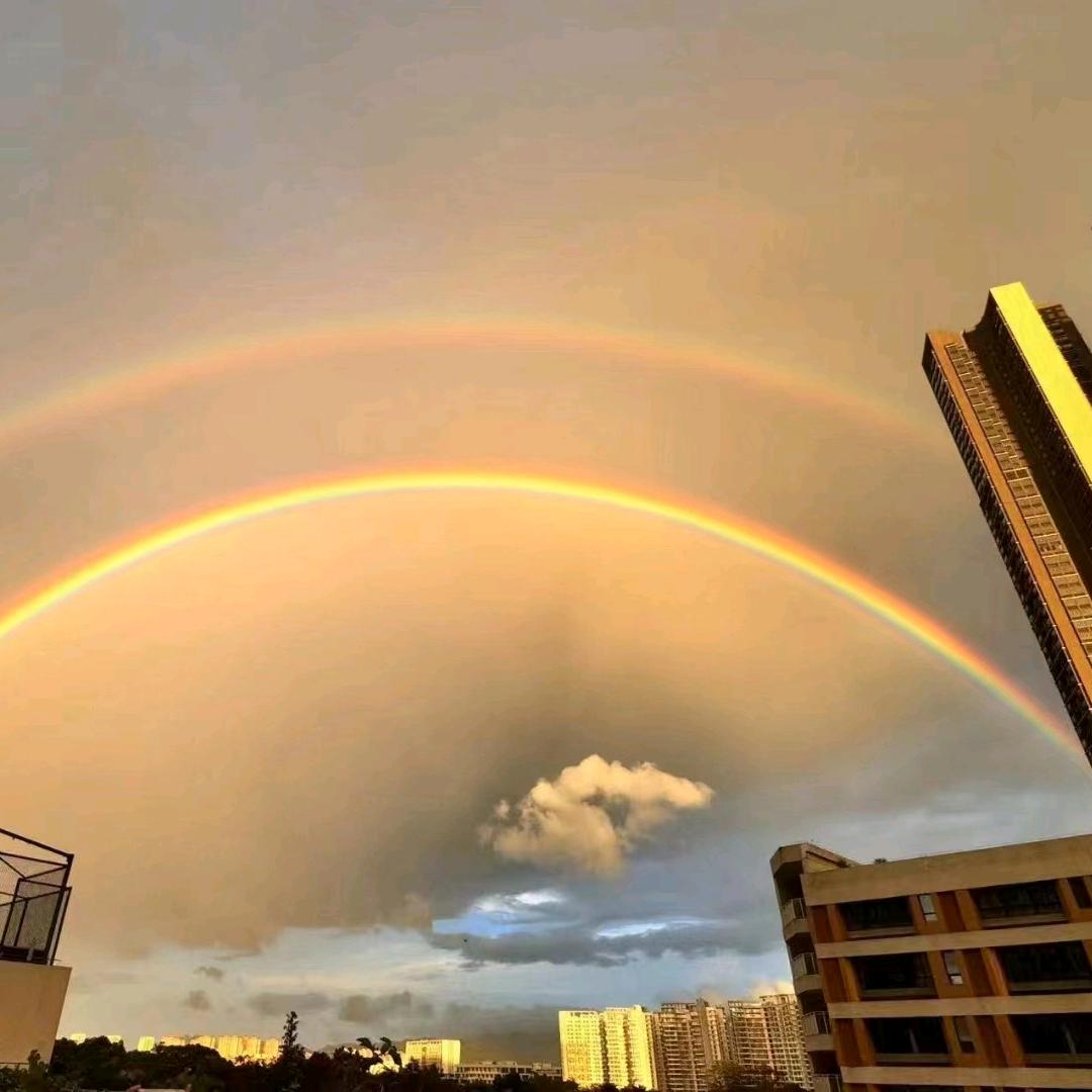 天晨-👉天尊👊