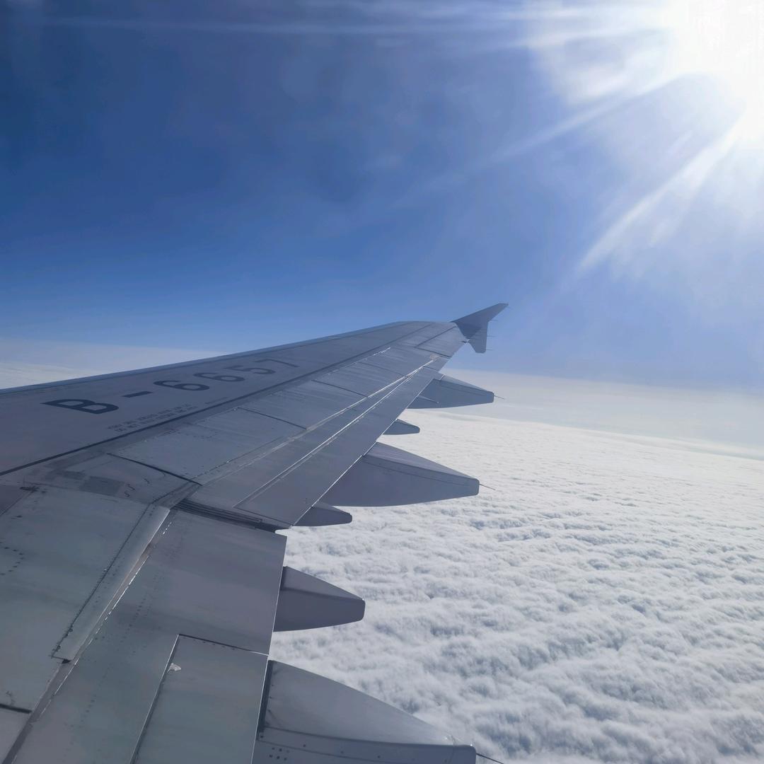 老黄瓜刷绿漆，