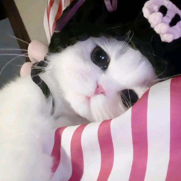 妮妮🍀