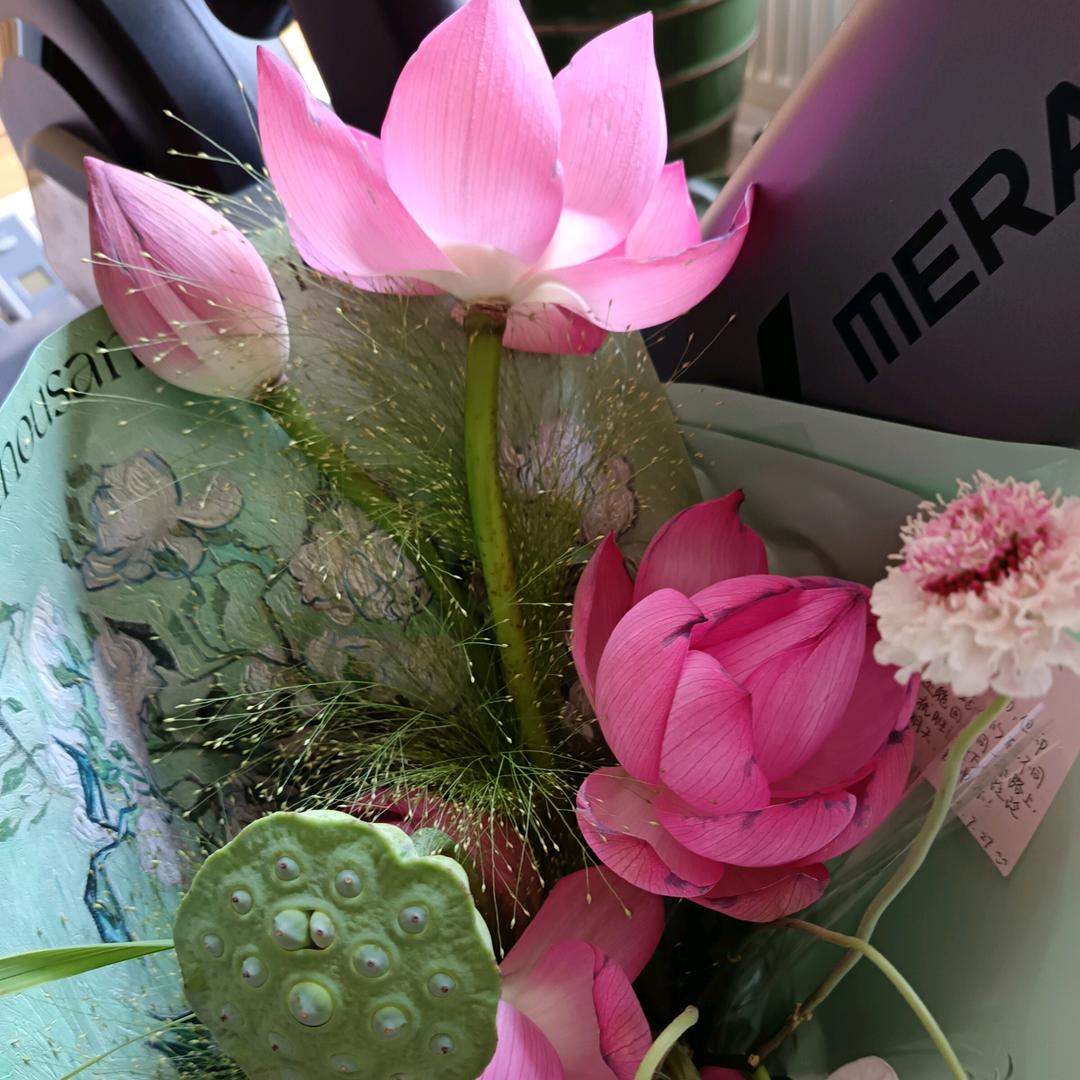 🌸钱包廋了🌸