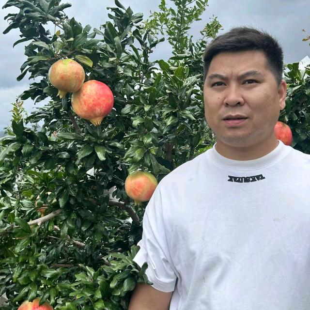 小朱叔叔