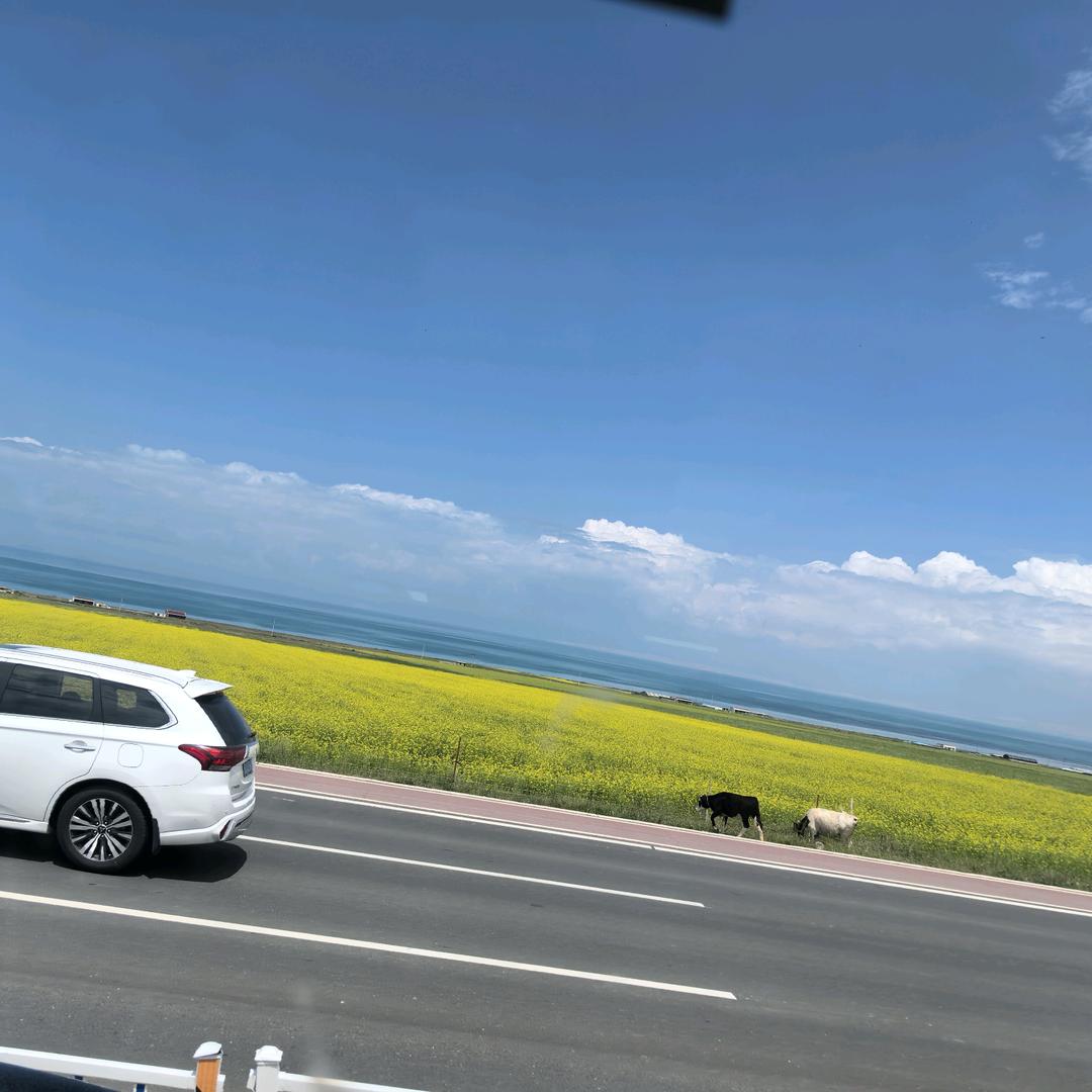 峡谷深涧