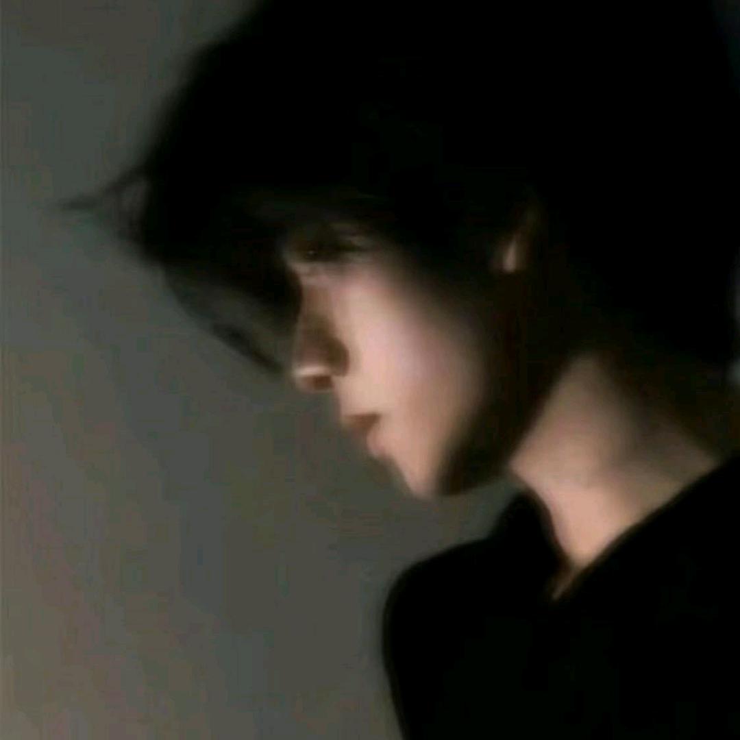 kitten（三角洲行动）