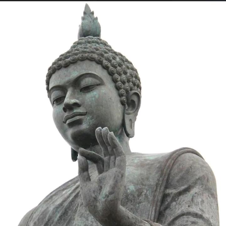 冷少