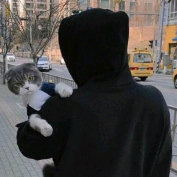源源睡不醒