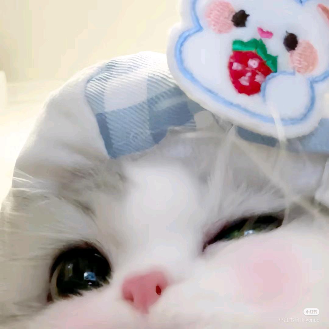 小茹同学