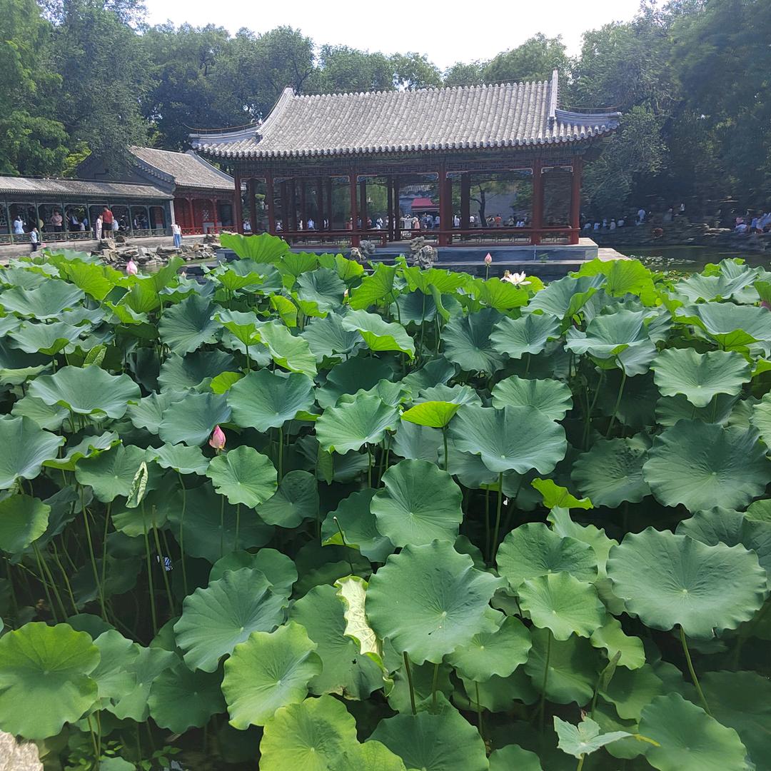 利百嘉优选