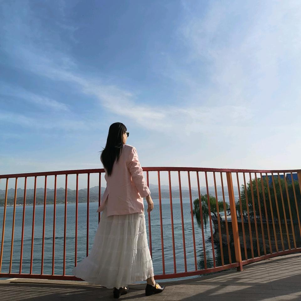 高宝宝