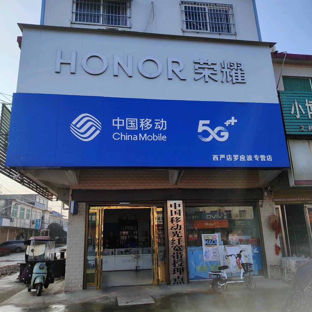 移动光纤宽带（专业监控安装维护）