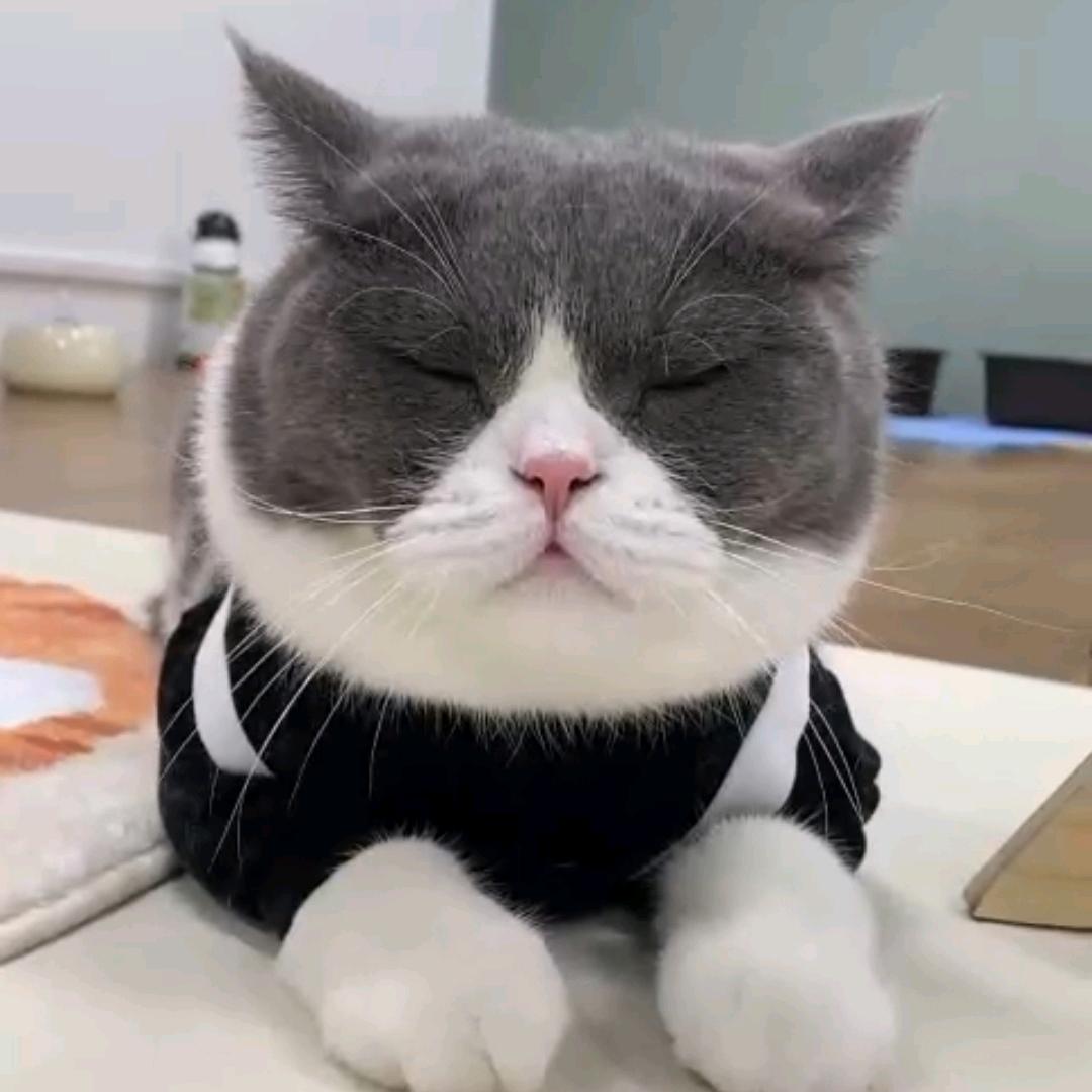 小不妞