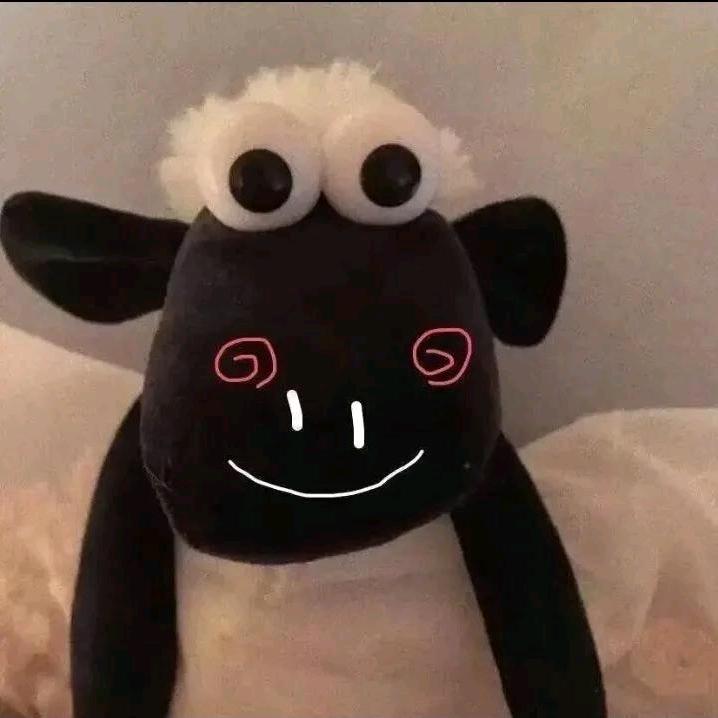 小橙子🍊🍊🍊