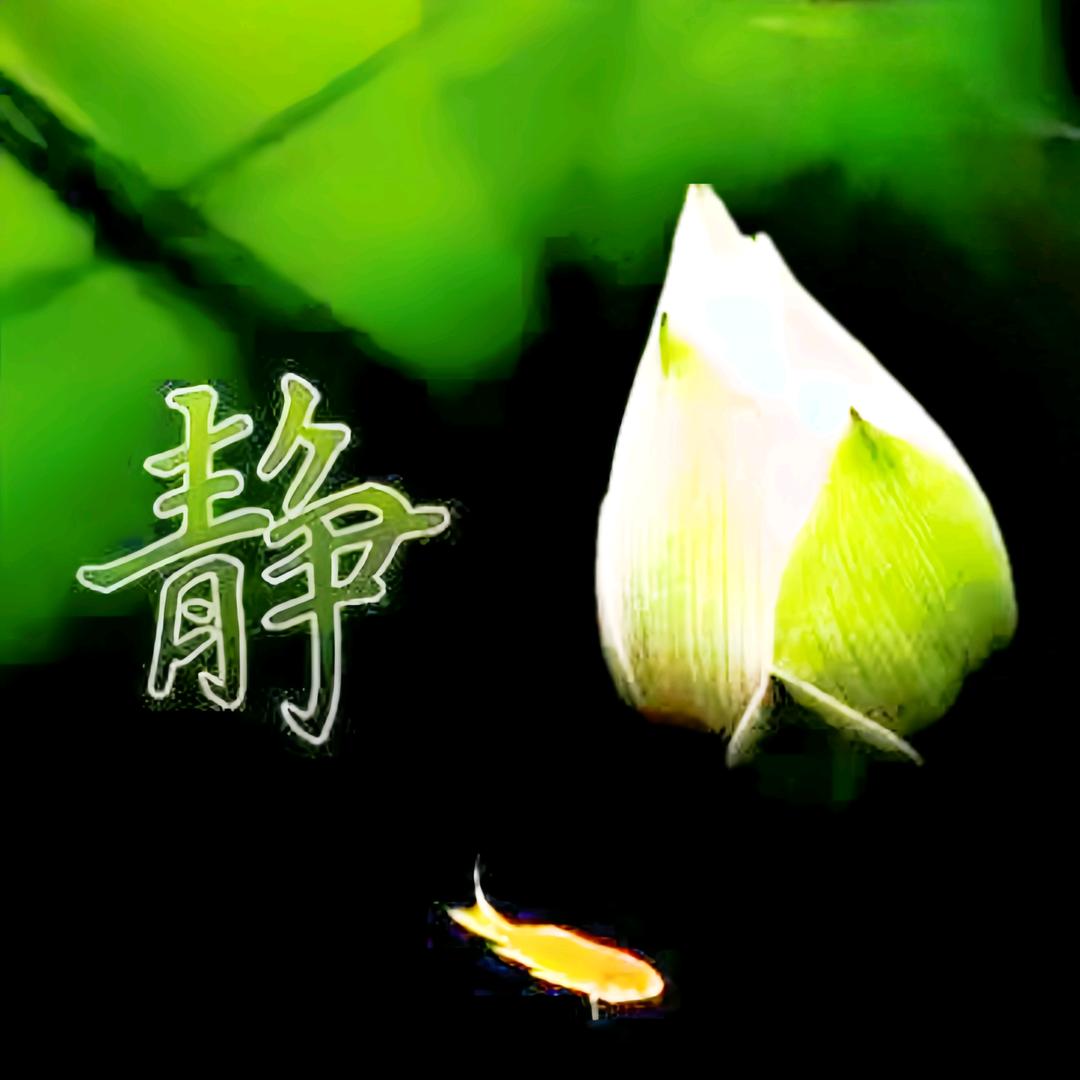 静怡