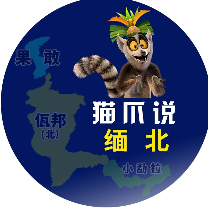 新猫爪说