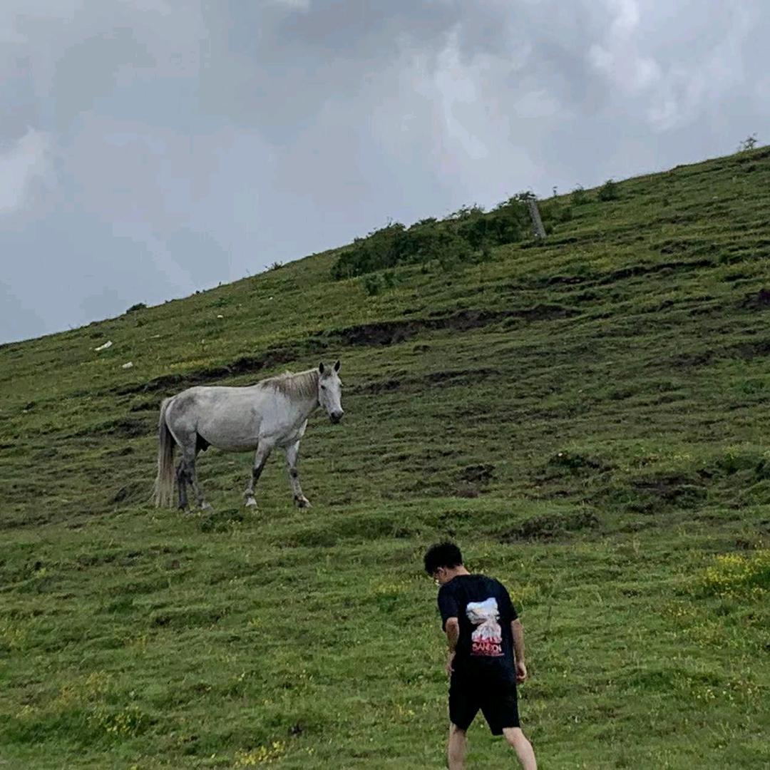 钓鱼糕手