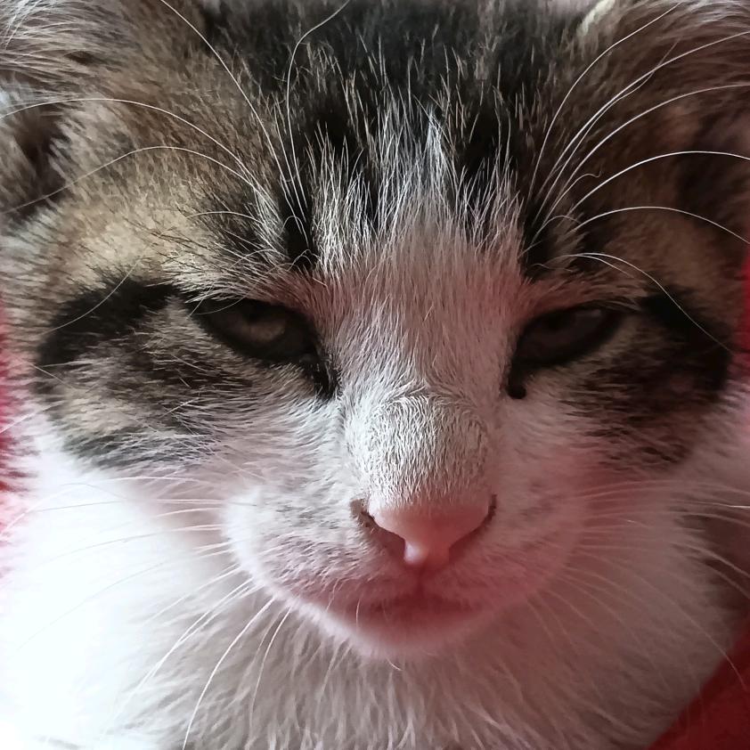 抠脚猫大汉《开心一刻》