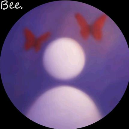 未来巴基斯坦第一帅