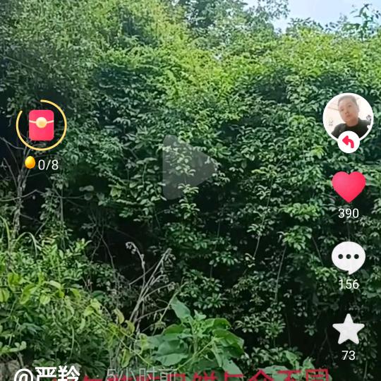 芬芬
