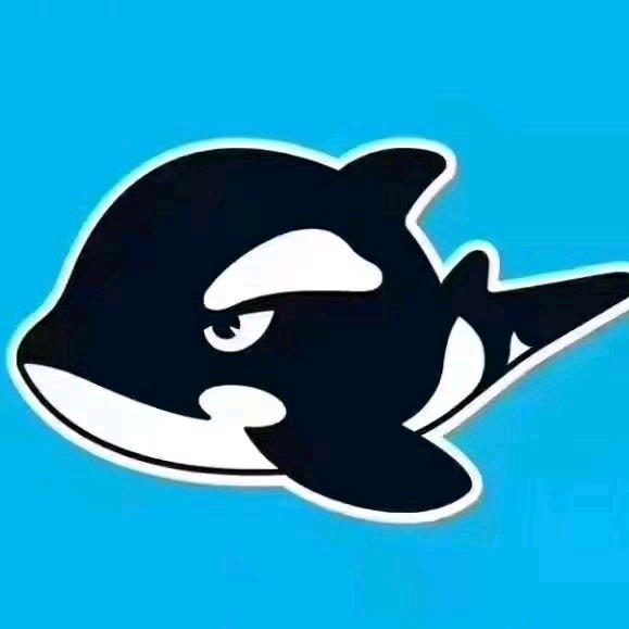 网鱼电竞（金湾华晨商业广场店）