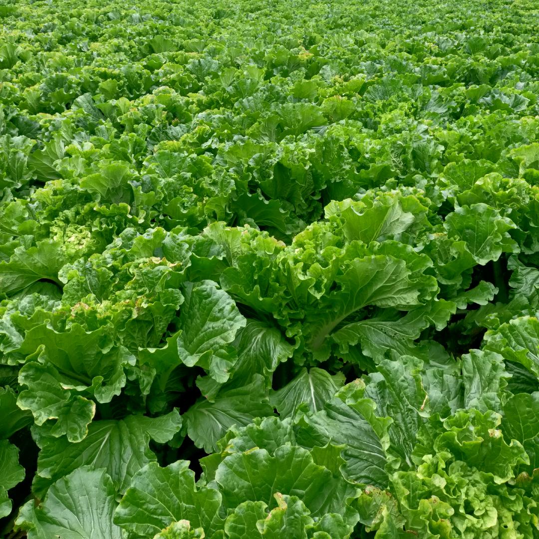 承接各种开业庆典