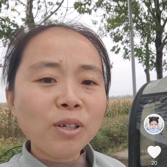 贤子(首播10月20日晚9点半开播)