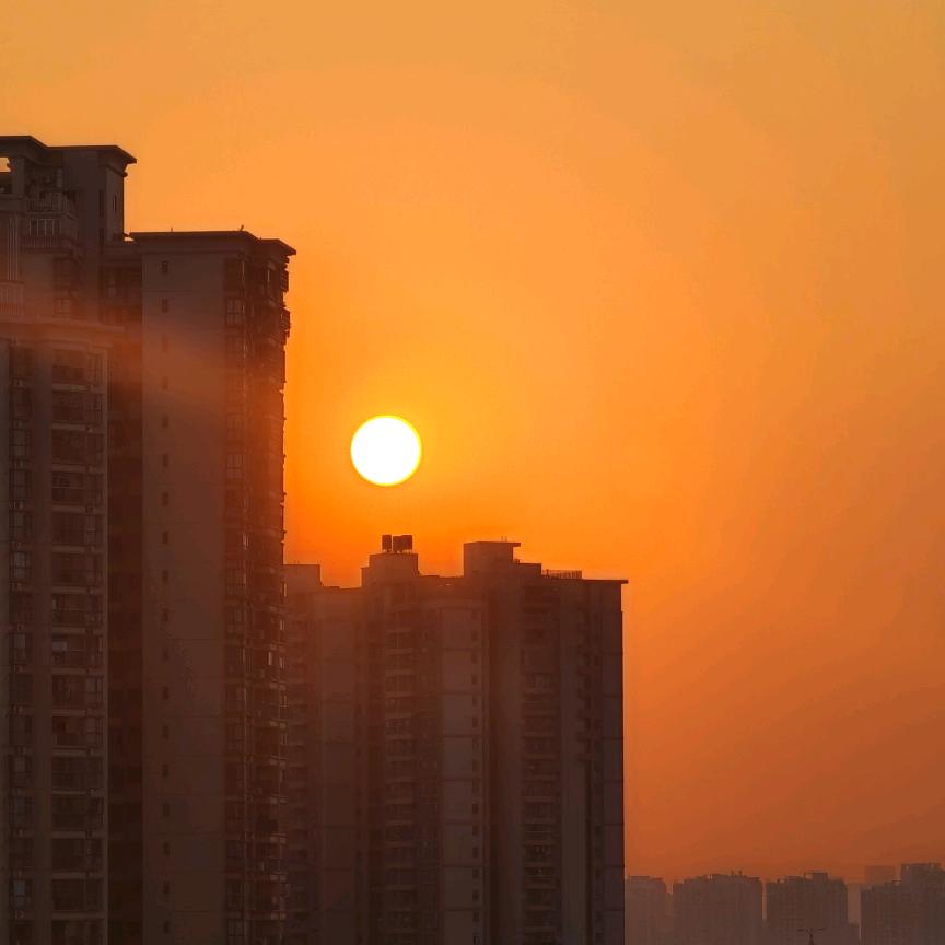 浩浩早教点读书
