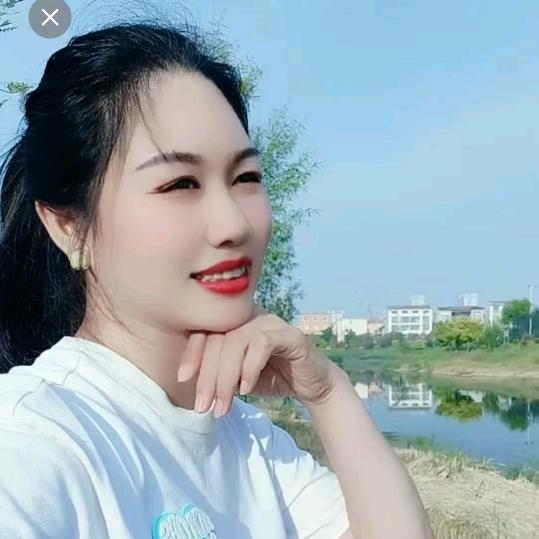 独立云端的白鹤